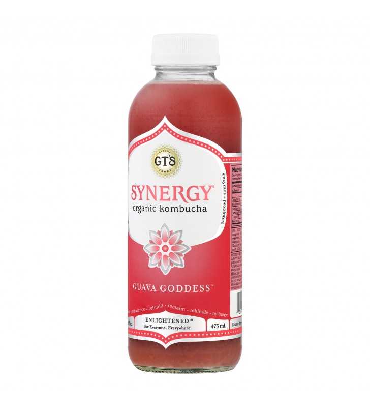 GT's Synergy Organic Kombucha Guava Goddess, 16 fl oz