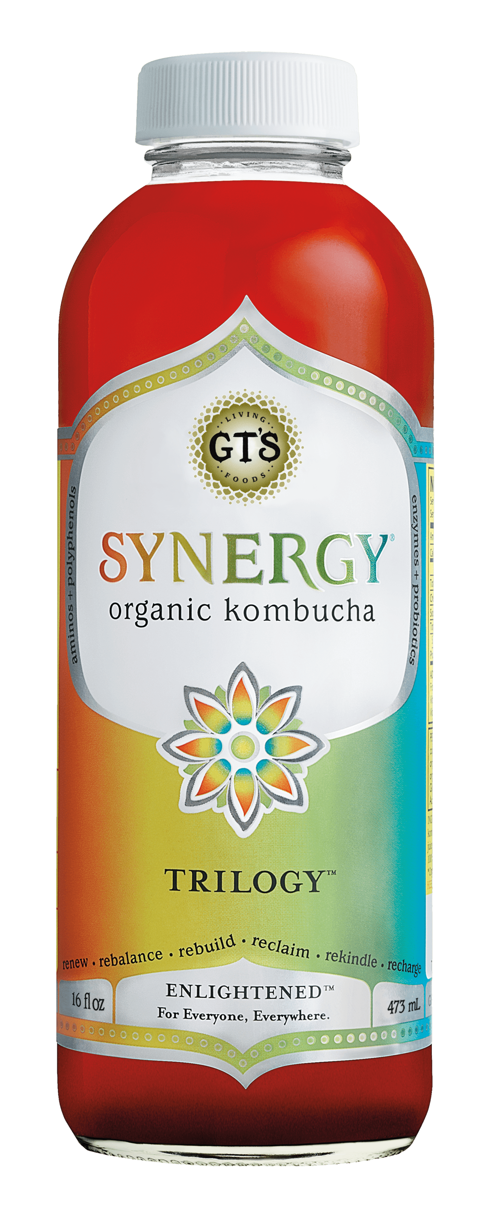 GT'S Synergy Trilogy Kombucha Drink Organic & Raw, 16 Fl Oz