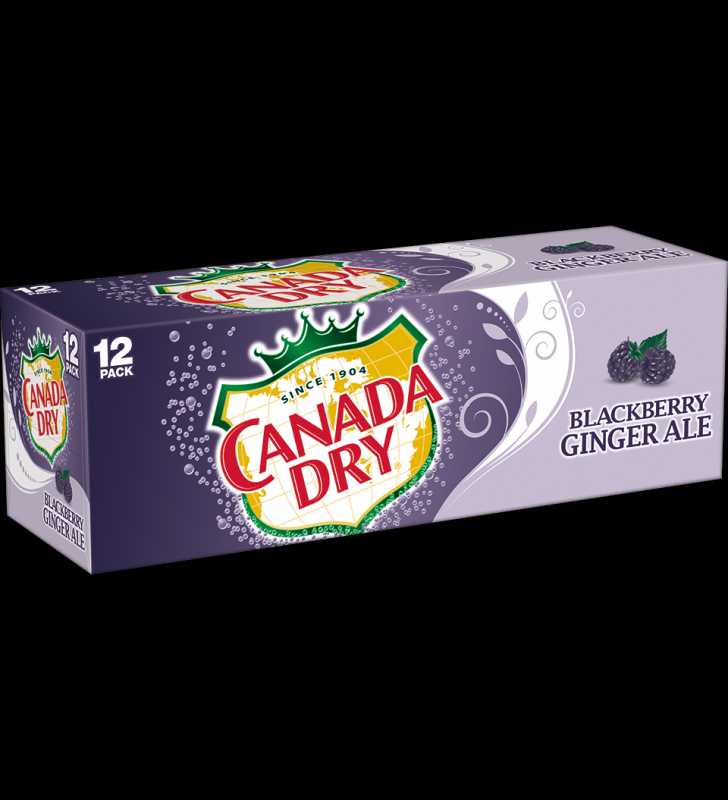 canada-dry-blackberry-ginger-ale-12-fl-oz-cans-12-pack