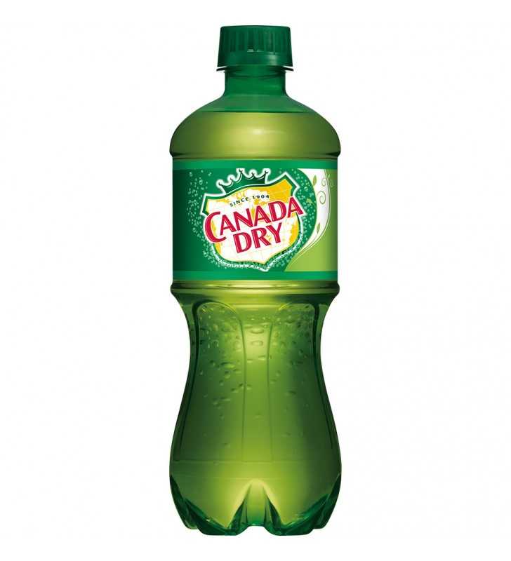 Canada Dry Ginger Ale, 20 fl oz bottle