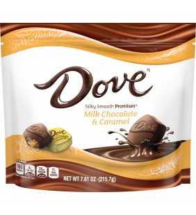 Dove Promises, Caramel And Milk Chocolate Candy, 7.61 Oz.