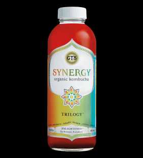 GT'S Synergy Trilogy Kombucha Drink Organic & Raw, 16 Fl Oz