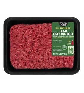 All Natural* 93% Lean/7% Fat Lean Ground Beef Tray, 1 lb