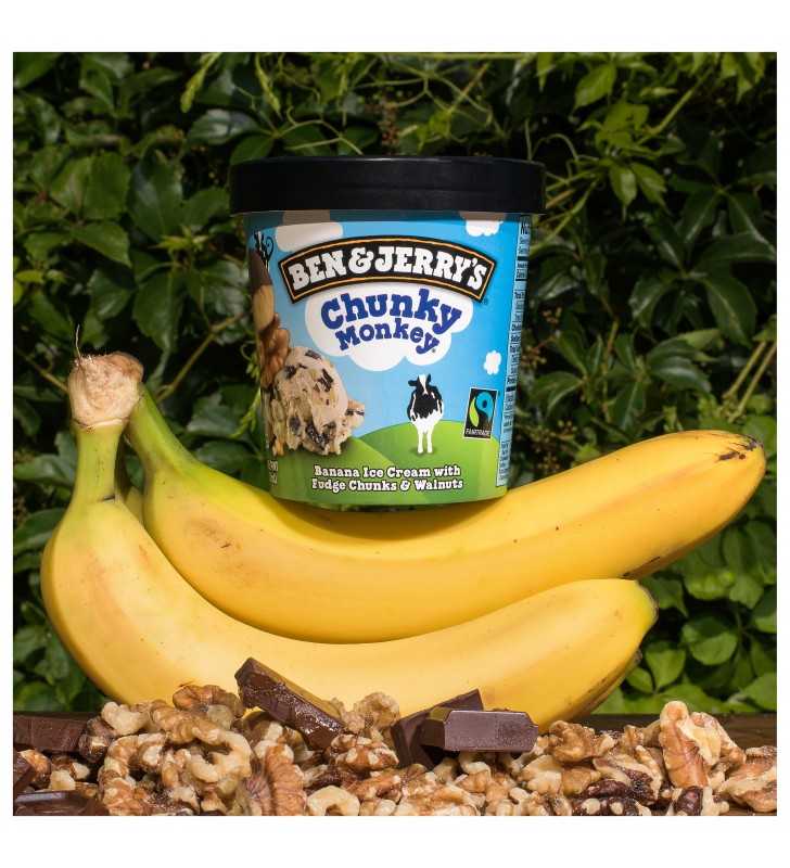 Ben And Jerrys Chunky Monkey Ice Cream 16 Oz