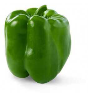 Green Bell Pepper, 1 each