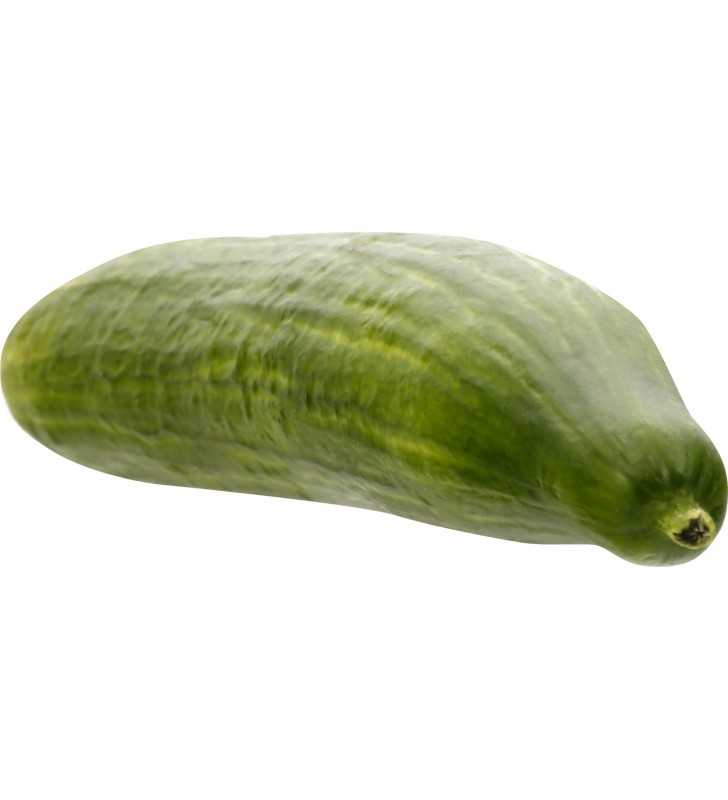 English Cucumbers - 1ct Individually Wrapped