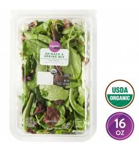 Marketside Organic Spinach & Spring Mix, 1 lb