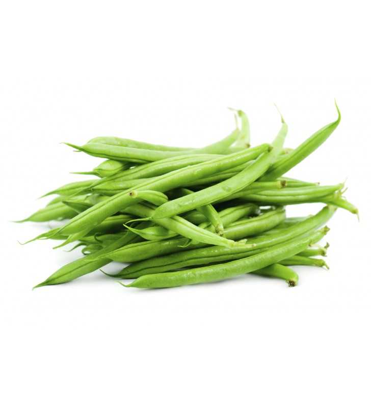 string-beans-1lb